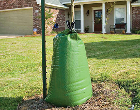 Tree Water Bags-GreenPro Ventures